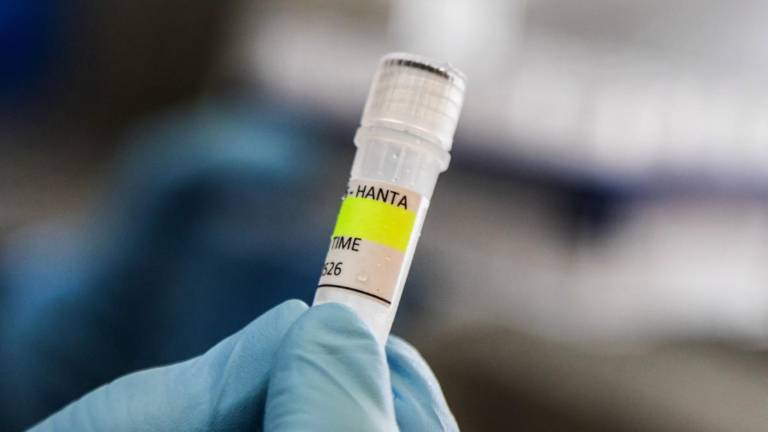 Hantavirus causa alerta mundial tras posible contagio fuera del crucero MV Hondius: aumentan los casos
