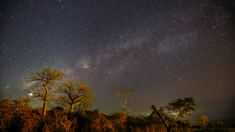 Los Ceibitos, un paraíso entre la cordillera y bosques encantados repletos de ceibos