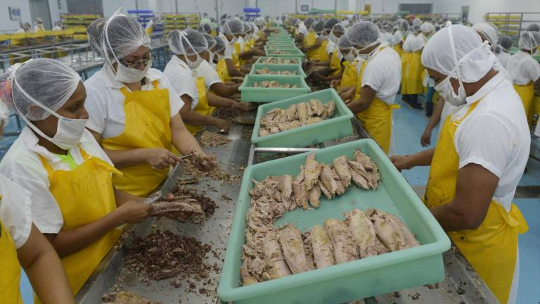 Personas trabajando en una planta procesadora de atún.