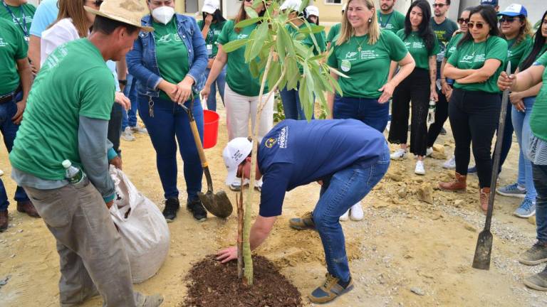 Las empresas impulsan acciones a favor de la conservación forestal