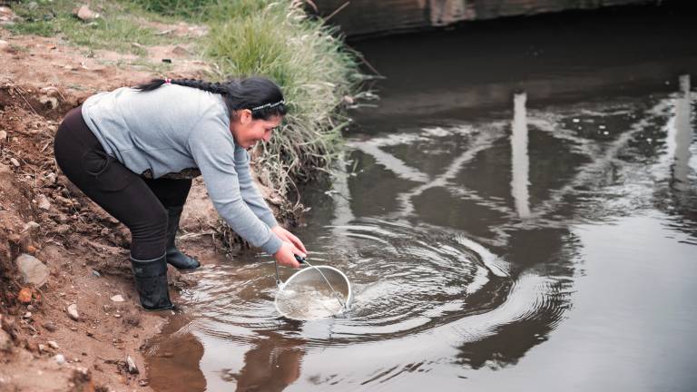 Las guardianas del agua: la lucha de las mujeres por obtener un recurso vital