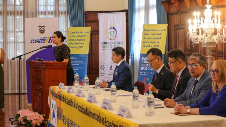 Ecuador firmará tratado comercial el 26 de agosto con Corea del Sur: ¿Qué se necesita para triunfar en el mercado?