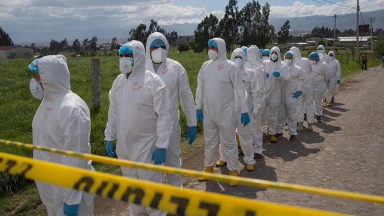 ¿Cuál es la situación de la influenza aviar en Ecuador? Así habría ingresado el virus al país