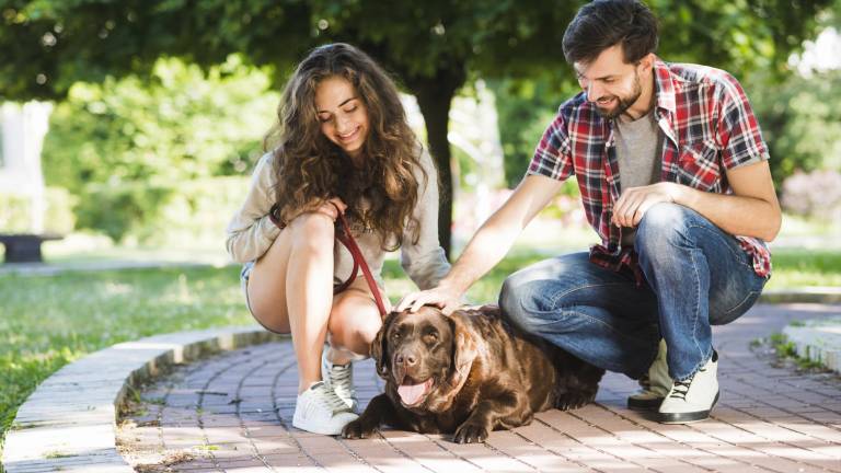 San Valentín 2026: ¿Estás soltero? tu perro podría ser el mejor aliado para encontrar pareja