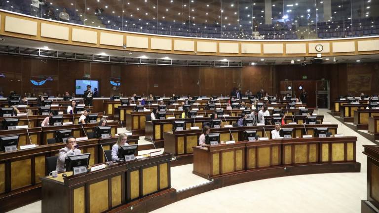 Pleno de la Asamblea Nacional en sesión.