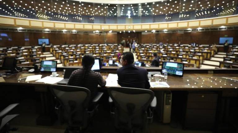 Asamblea exhorta a la función judicial revisar detenciones arbitrarias en el marco de las manifestaciones