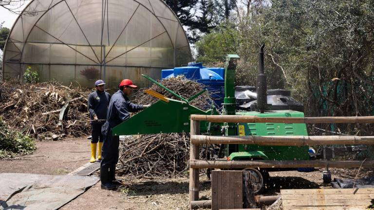 La transformación de residuos orgánicos en abono natural beneficia al agro ecuatoriano
