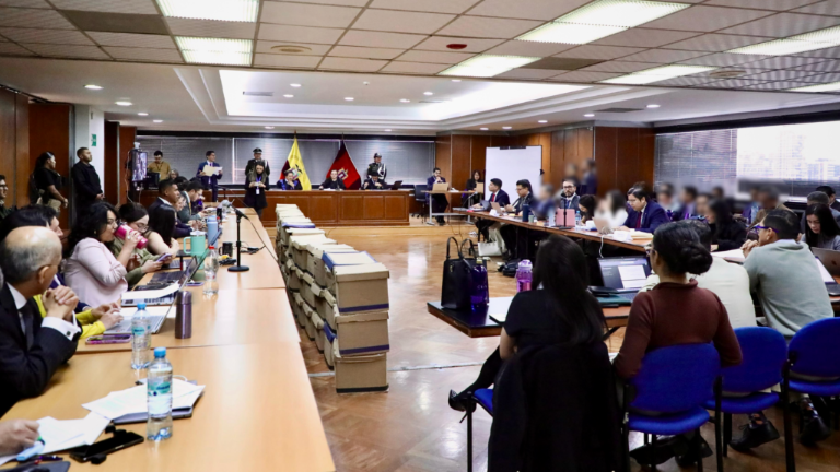 Caso Purga: sentencian a 13 años de cárcel a Pablo Muentes, Fabiola Gallardo y Johan Marfetán