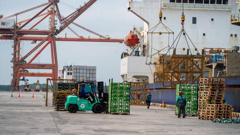 Guayaquil necesita puertos más profundos ante el arribo de buques de mayor tamaño