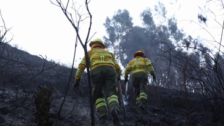 Incendio en el cerro Casitagua sigue activo por segundo día: más de 90 bomberos combaten el fuego en Quito