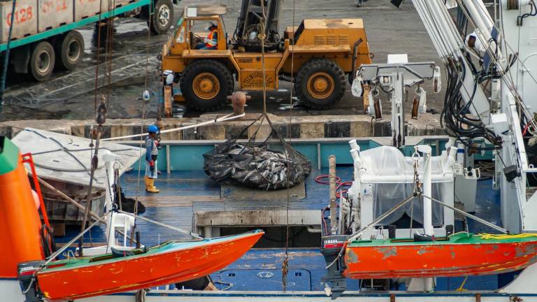 Marea productiva para el sector pesquero