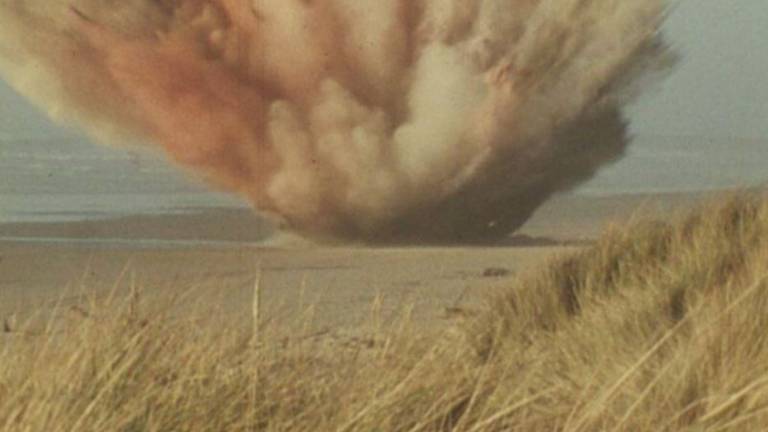 VIDEO: El día que explotó una ballena varada y llovió carne podrida sobre Oregon: el método elegido falló