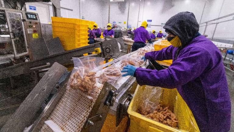 El portafolio de valor agregado de Nirsa incluye una línea de camarones apanados con ralladura de coco o apanadura panko.