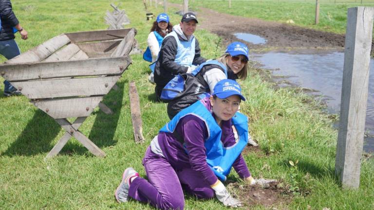 Colaboradores de Arca Continental realizan voluntariado de reforestación.