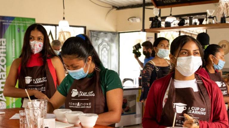 Programa fomenta la producción sostenible de café en la Amazonía