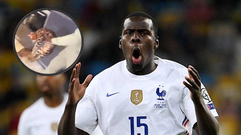 Futbolista de la Premier League abusa físicamente de su gato; videos captan el maltrato del también protector de felinos