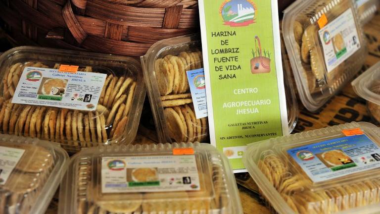 Galletas de harina de lombriz, curiosa forma de nutrirse en Bolivia