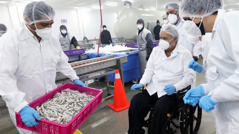 Ecuador no tiene notificación de China sobre nuevo caso de camarón con COVID