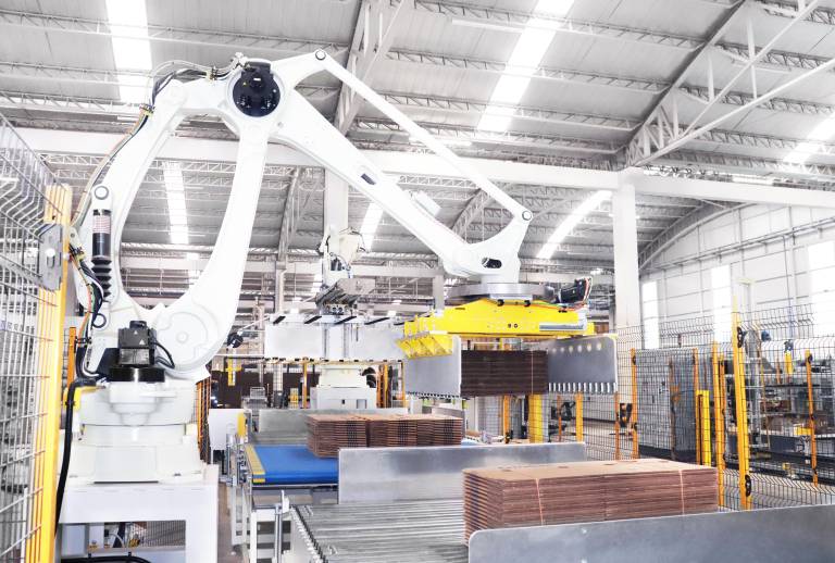 $!Grupasa impulsa la competitividad del banano, camarón y flores con soluciones de empaque innovadoras