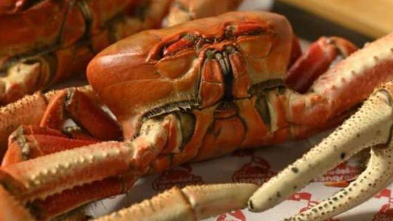 Ecuador suspende por seis años la exportación de cangrejos