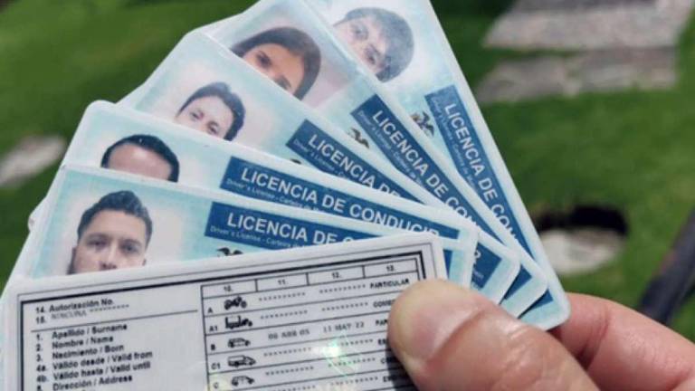 Agencia Nacional de Tránsito suspende atención y amplía vigencia de licencias caducadas en Ecuador