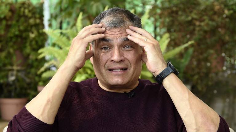 La Interpol no ha declarado inocente a Rafael Correa