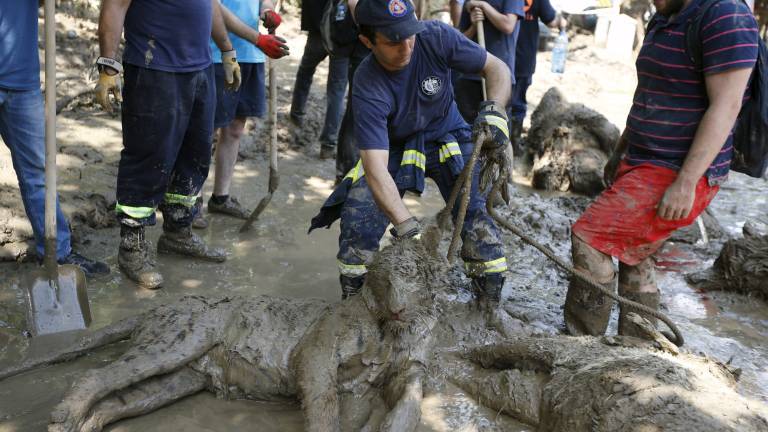 Duelo en Georgia por víctimas de inundaciones en Tiflis