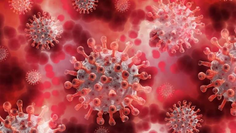 Descubren cómo el coronavirus cambia su apariencia para que las células no lo identifiquen