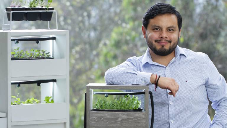 Graduado como ingeniero industrial, Martín Cruz encontró en sus pequeñas granjas de microverduras una opurtunidad de negocio innovadora; ahora, restaurantes de alto perfil están entre sus clientes.