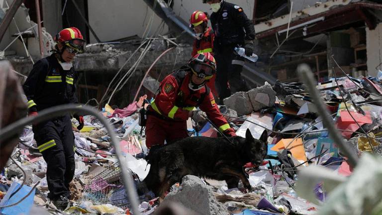Asciende a 655 la cifra de muertos por el terremoto