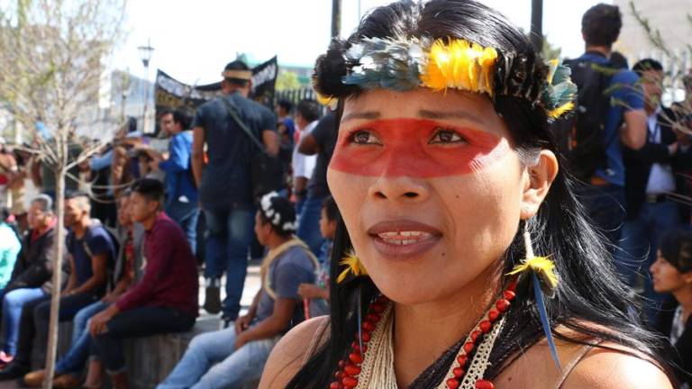 &quot;Sin tierra no existe vida&quot;: la historia de Nemo, la líder indígena entre las 100 personas más influyentes de 2020