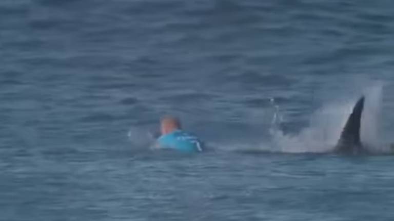 Un surfista australiano sobrevive a ataque de tiburón