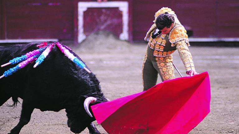Corte Constitucional analiza demanda para restaurar corridas de toros en Quito