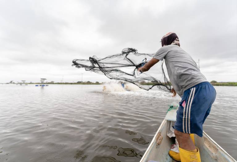 $!Para avanzar hacia una acuicultura sostenible, Sustainable Shrimp Partnership (SSP), destaca la importancia de medir el impacto ambiental mediante estudios aprobados por autoridades.