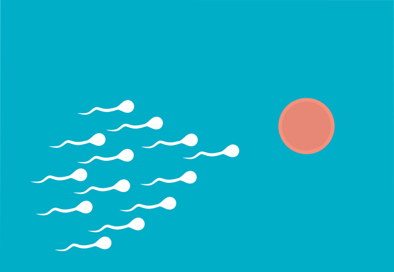 $!La vasectomía está considerada como una contribución masculina a la anticoncepción.