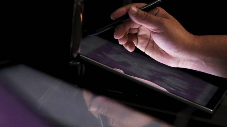 Las pantallas de cristal líquido deben mucho a la zanahoria