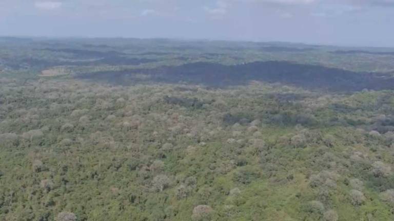 El Ministerio del Ambiente asegura que el terreno en donde se construye la nueva cárcel no forma parte del Sistema Nacional de Áreas Protegidas.