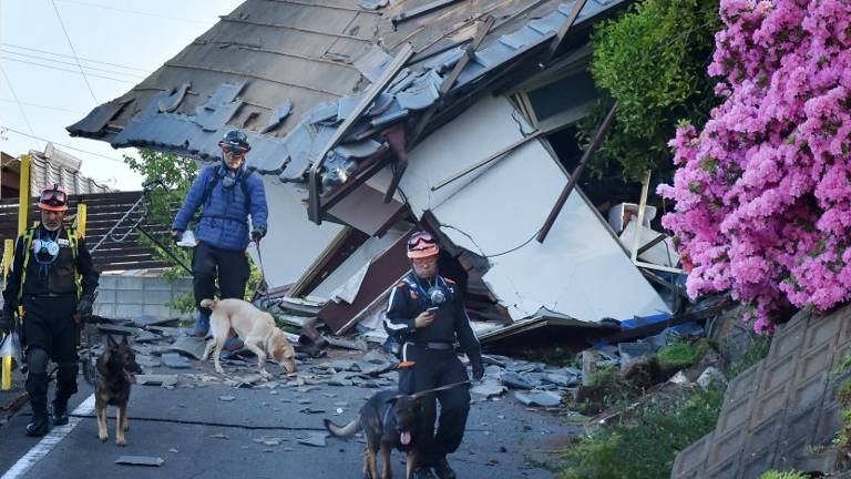Ascienden a 41 los muertos por terremoto en Japón
