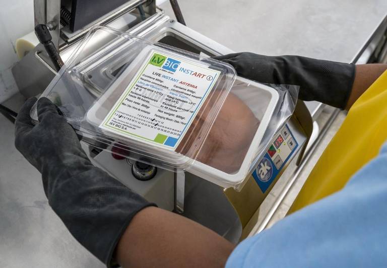 $!En los laboratorios de I&amp;V-BIO se producen tres tipos de productos derivados de la artemia. Su tecnología de animación suspendida ofrece una mayor riqueza nutricional.