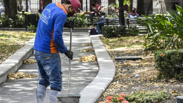 Guayaquil tiene 6 retos para mejorar sus espacios verdes