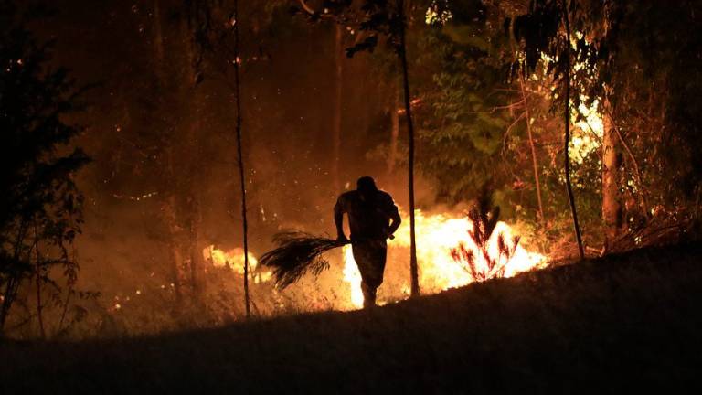 Unas 4.000 personas evacuadas por incendio forestal en Chile