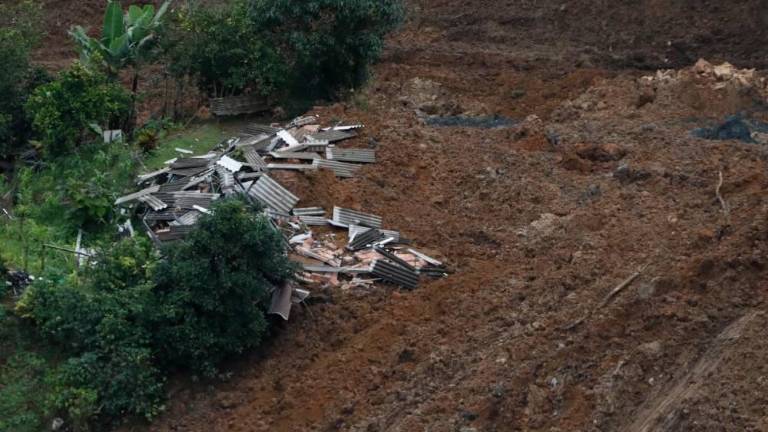 La mujer a la que sus cuatro perros le salvaron la vida tras derrumbe en Colombia