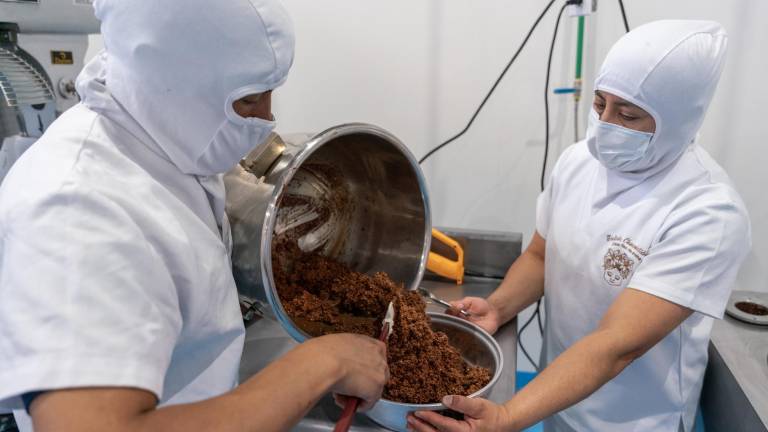 Julieta Chocolatiere elabora bocados de chocolate mezclados con quinua o amaranto. Estos son exportados al mercado europeo por ser orgánicos y contener superalimentos.
