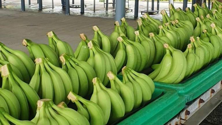 Ecuador se ubica entre los países más favorecidos por nuevo esquema arancelario de EE.UU.