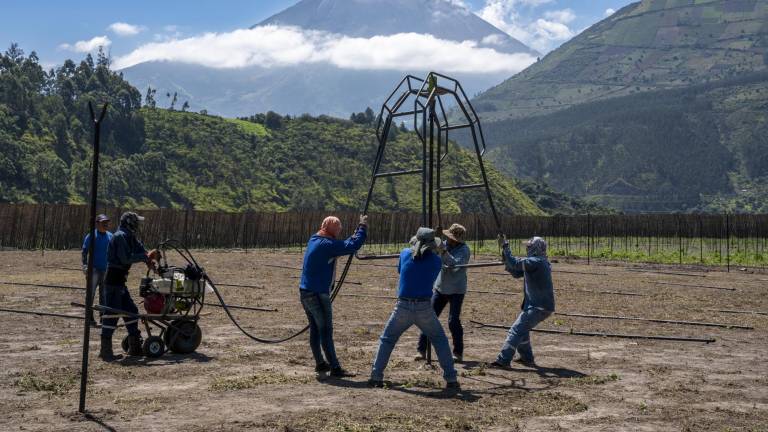 Tungurahua, la provincia cuya variedad productiva la hace única