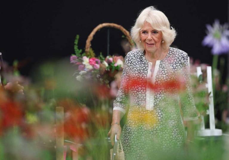 $!El hecho ocurrió en un tren rumbo a Paddington, cuando Camila tenía 16 o 17 años.