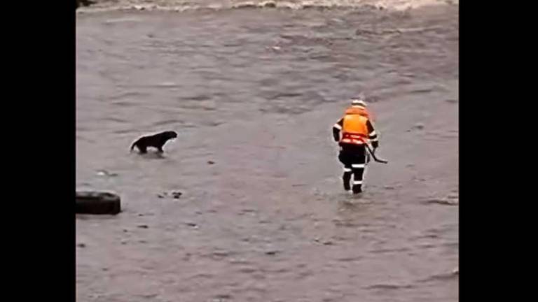 La Policía de Perú encuentra cuerpo de rescatista que murió al intentar salvar a un perro
