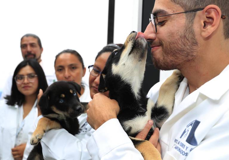 $!Este espacio ofrecerá servicios de estancia, veterinaria, esterilización, estética y adopción de manera gratuita.