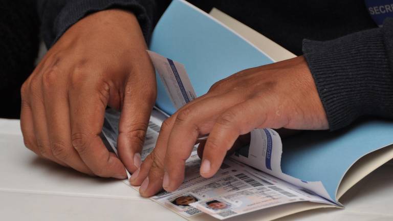 CNE habilita certificados de votación y pago de multas del Referéndum 2025