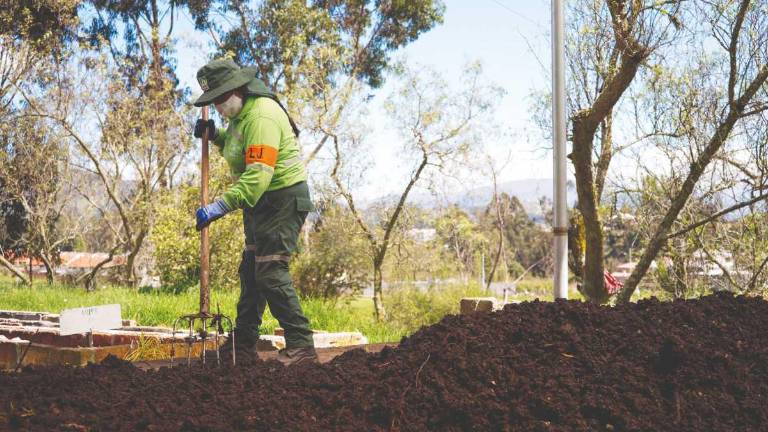 Quito, Guayaquil, Samborondón y Cuenca son solo cuatro de las ciudades que impulsan iniciativas de economía circular. A nivel nacional, otros cantones también están manejando este enfoque.